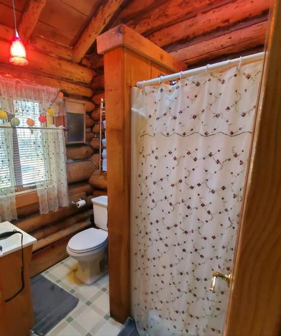 1913 Love Shack Bethel White Lake Ny Luaran gambar